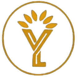 YLH